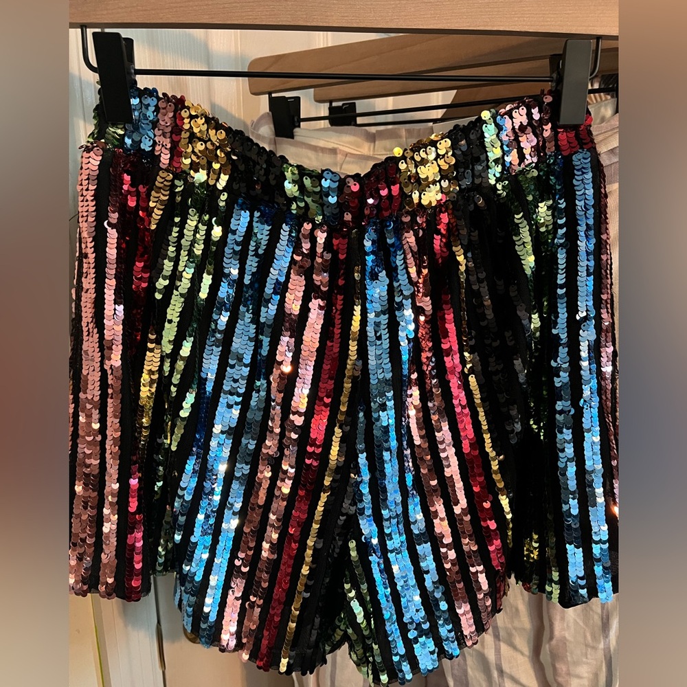 LPA 194 Shorts Multi Party Multicolor Sequin Stripe Track Shorts Revolve - Picture 7 of 9